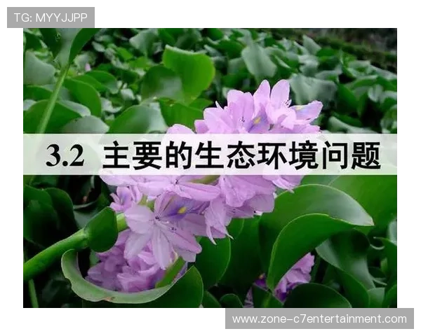 沃特福德是英国的一部分吗深入探讨这个问题的地理和历史背景